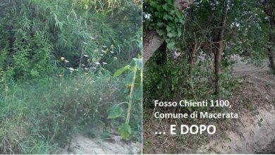 Terra e vegetazione nell’alveo, pulito il fosso Chienti a Macerata